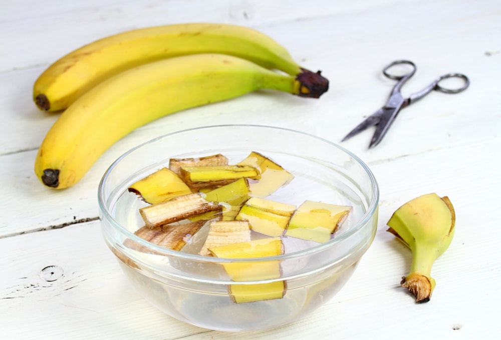 Smart Uses For Banana Peels Creative Ideas For Reuse House Grail