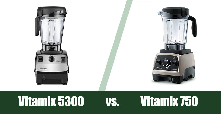 Vitamix 750 outlet vs 5300