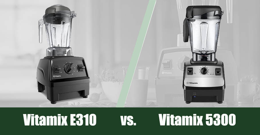 Vitamix E310 vs 5300 Blender