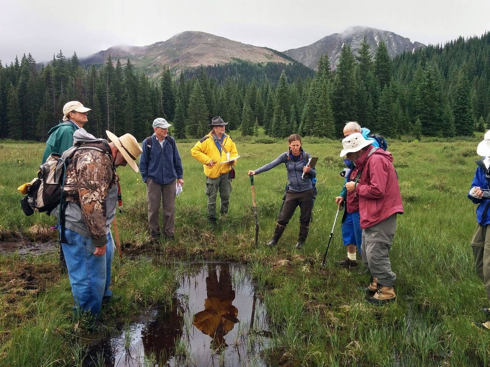 Colorado watershed restoration project
