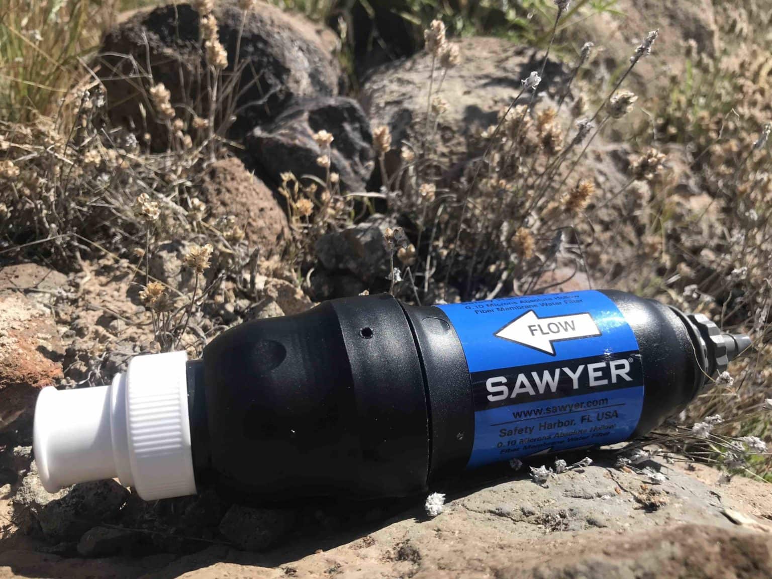 liquid spider killer
