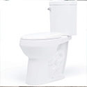 Convenient Height Tall Toilet
