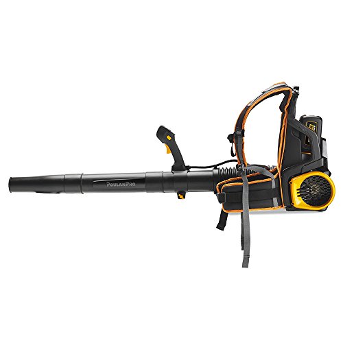 9 Best Backpack Leaf Blowers of 2024 Top Picks & Reviews House Grail