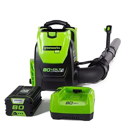 9 Best Backpack Leaf Blowers of 2024 Top Picks & Reviews House Grail