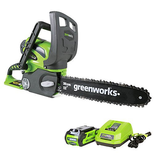 Greenworks 40V Cordless Chainsaw Kit (20262)