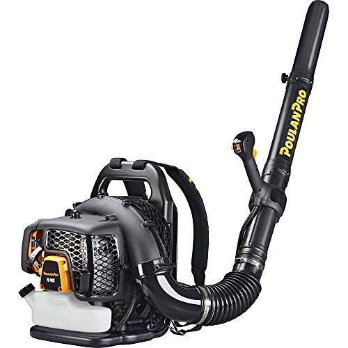 9 Best Backpack Leaf Blowers Of 2024 Top Picks Reviews House Grail   51wuFNm9tL 