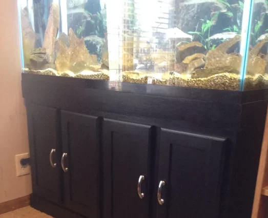 Aquarium stand with secret door