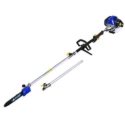 BLUE MAX Gas Pole Saw