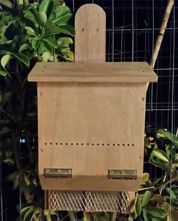 Bat Nest Plans From Instructables