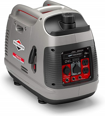 Briggs & Stratton 30651