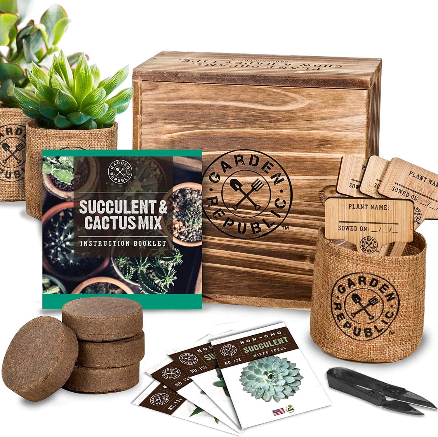 Cactus Succulent Seed Starter Kit