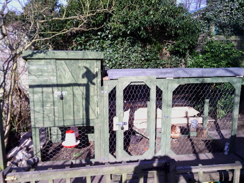 Chicken Coop From a Pile of Pallets by The Shed and Beyond