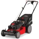 Craftsman M215