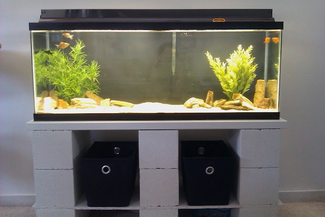 DIY Cinder block aquarium stand
