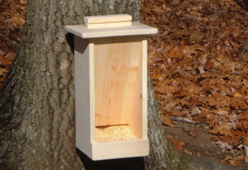 DIY Deer Feeder
