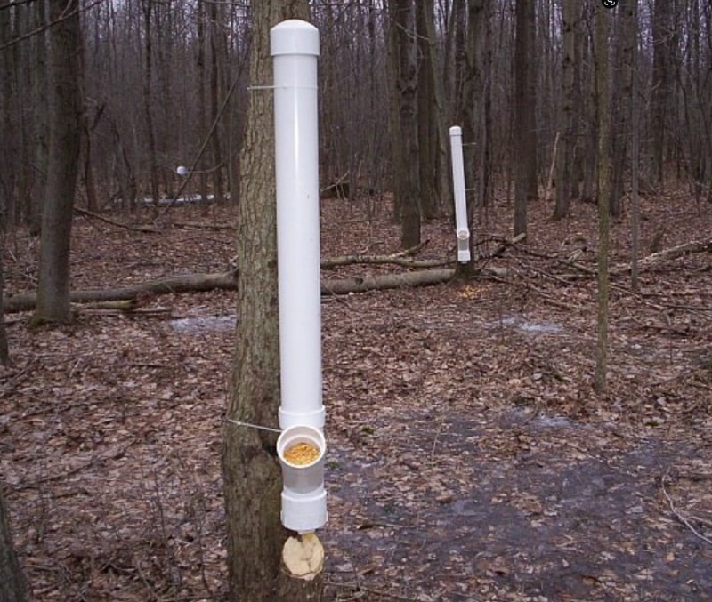DIY How To Make a Homemade Deer Feeder