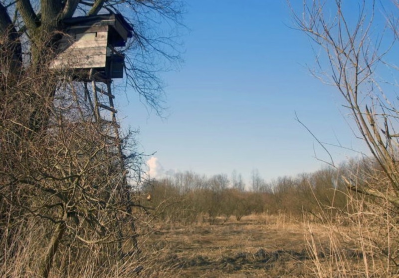 DIY how to build a tree stand