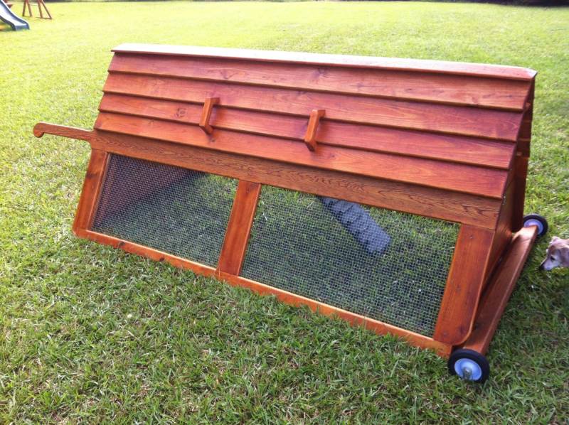 DIY bgs little egg factory