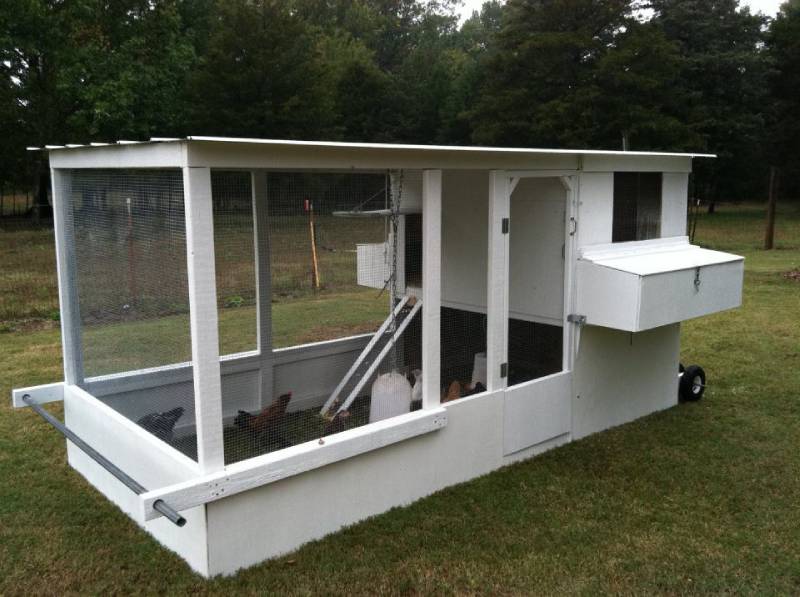 DIY chicken menagerie