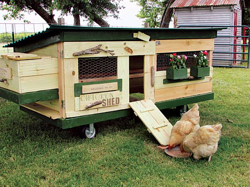 DIY chicken tractor