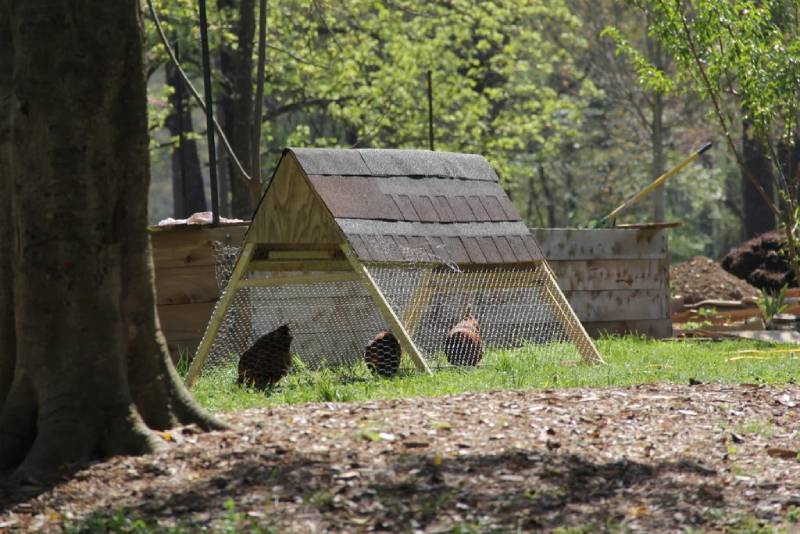 DIY chicken tractor