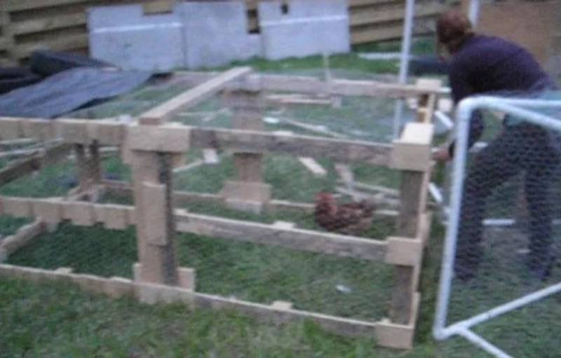 DIY chicken tractor