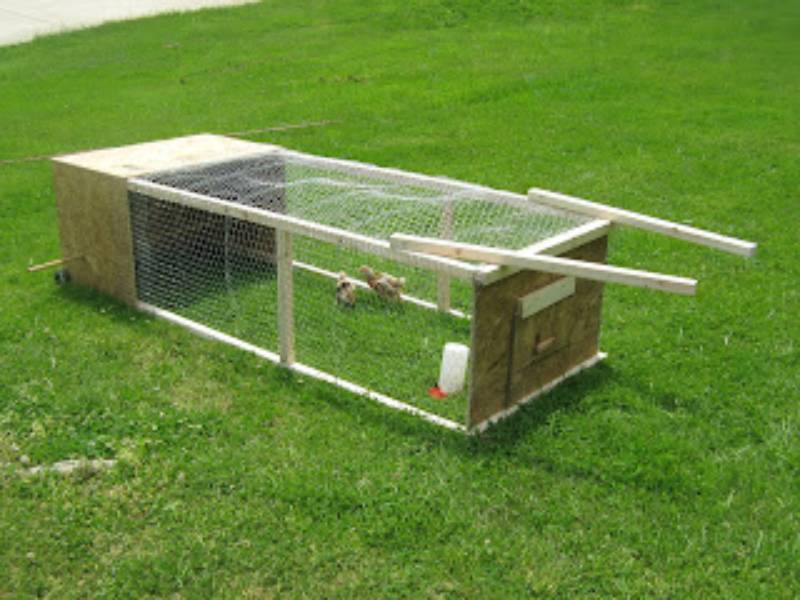 DIY chicken tractor