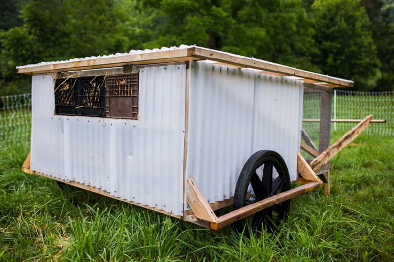 DIY chickshaw
