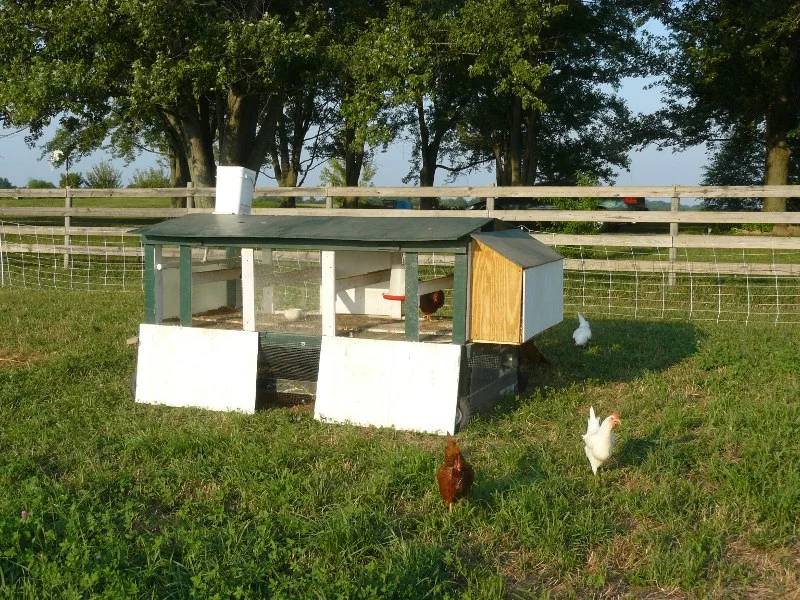 DIY large tractor coop