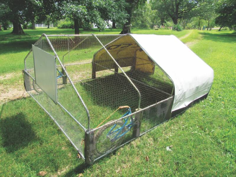 DIY meat chicken tractor