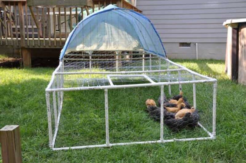 DIY pvc chicken tractor