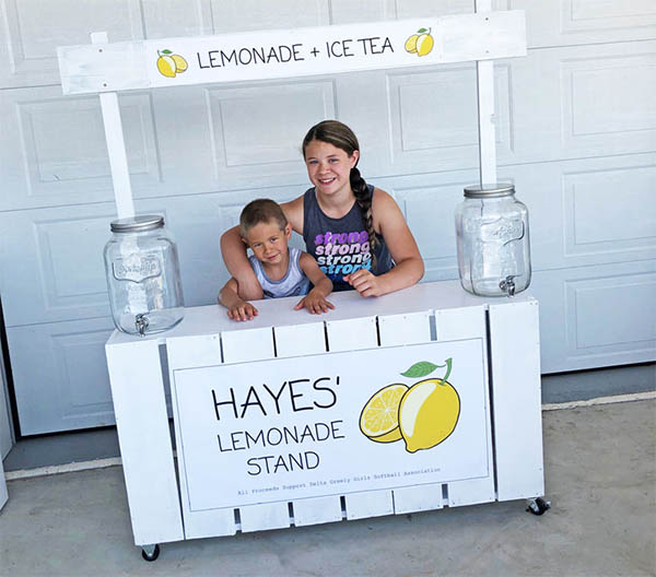 Fence Picket Lemonade Stand by Ana White