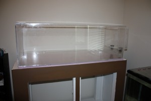 Frog Tank and Stand