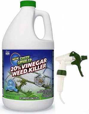 Green Gobbler Vinegar