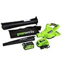 Greenworks 24322