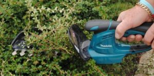 How To Sharpen Hedge Trimmers (2 Foolproof Methods) | House Grail