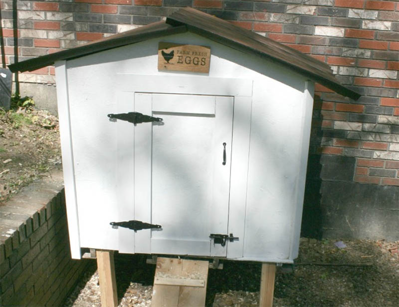 How To Build A DIY Chicken Coop From Pallets by Roots and Wings Furniture