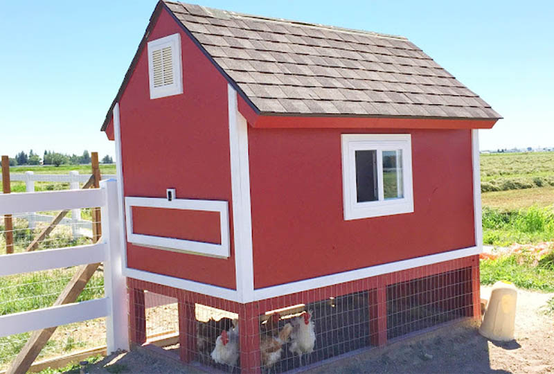 How to Build a Chicken Coop From Pallets by A Vision to Remember