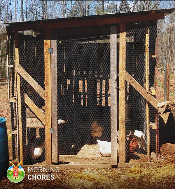 How to Build a Chicken Coop for Free by Morning Chores