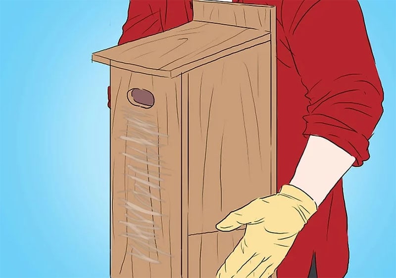 How to Build a Wood Duck House in 12 Steps
