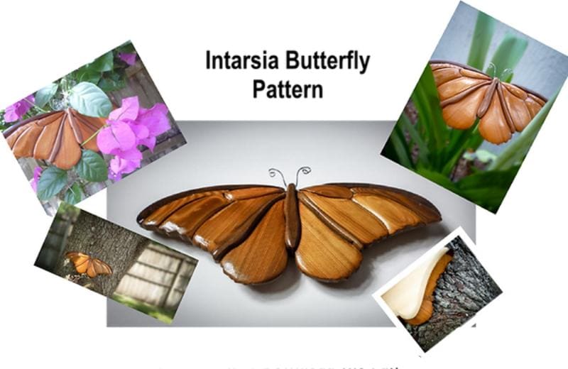 Intarsia Butterfly