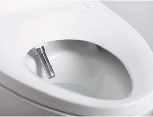 best toilet bidet combination