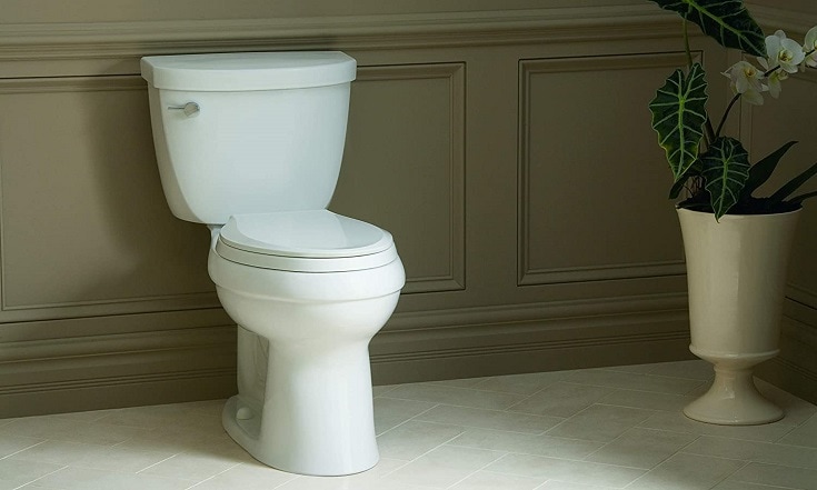 kohler-cimarron-toilet-review-pros-cons-verdict-house-grail