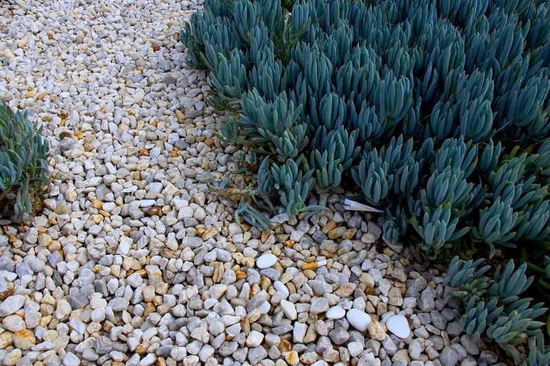 Gravel Types For Landscaping, What Size Gravel Is Best For Landscaping