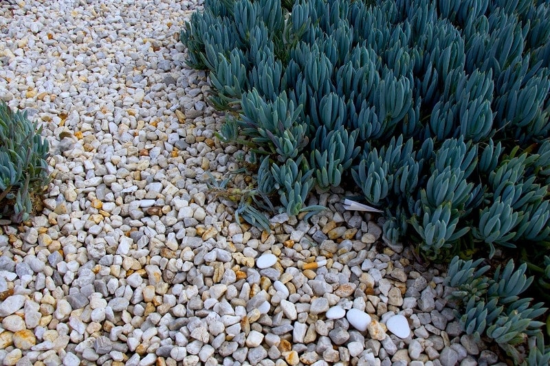 10 Best Stone & Gravel Types for Landscaping (Pros & Cons)