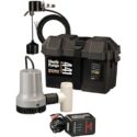 Liberty Pumps 441 Battery Back-Up Emergency Sump Pump System
