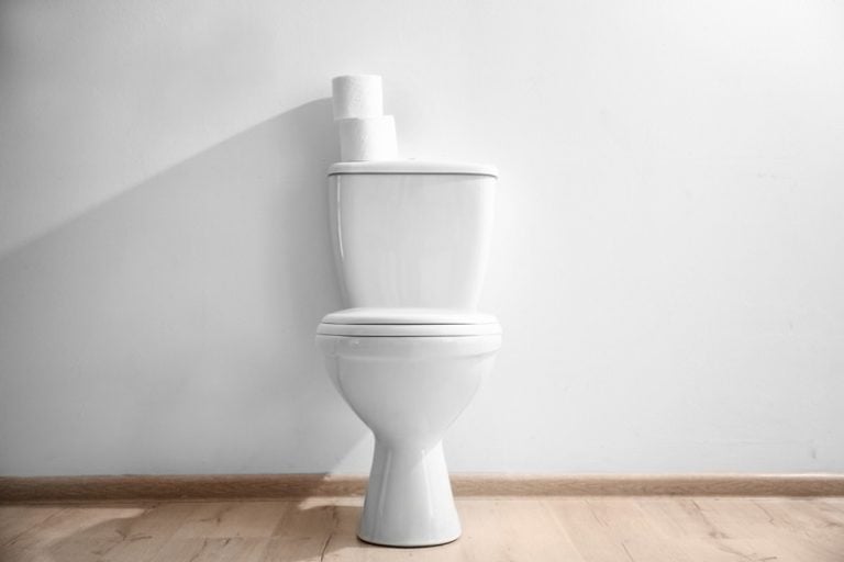 6 Best Comfort Height Toilets of 2024 Reviews & Top Picks House Grail