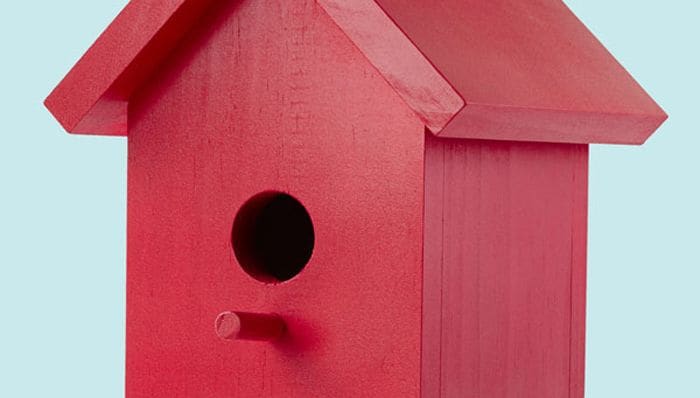 One-board birdhouse