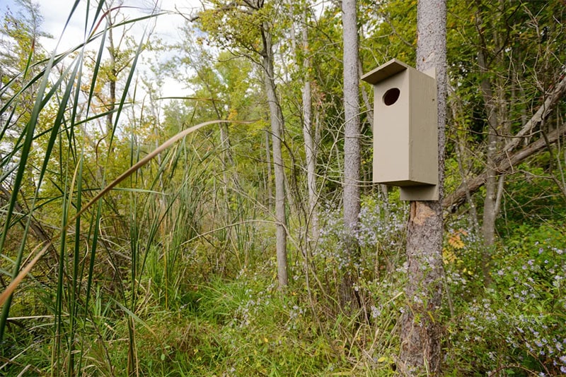 Plywood Wood Duck Box Plans from Instructables