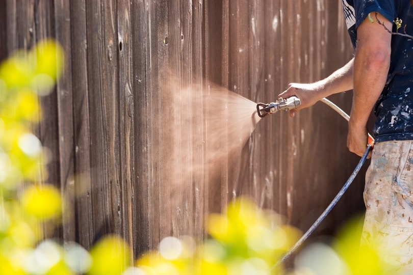 Professional Painter Spraying House Yard_Andy Dean Photography_shutterstock